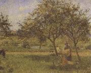 Camille Pissarro The Wheelbarrow oil painting reproduction